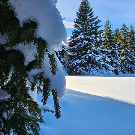 Mantera * Kopaonik