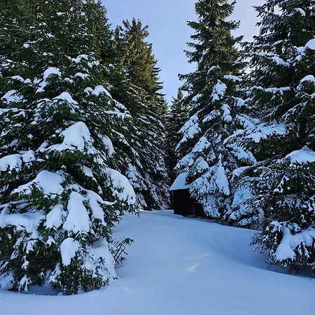 Mantera Διαμέρισμα *