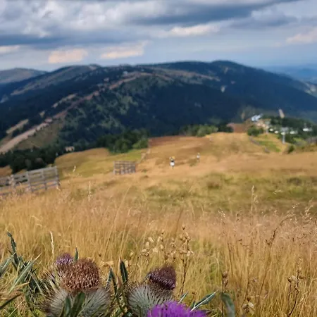 Mantera Διαμέρισμα *