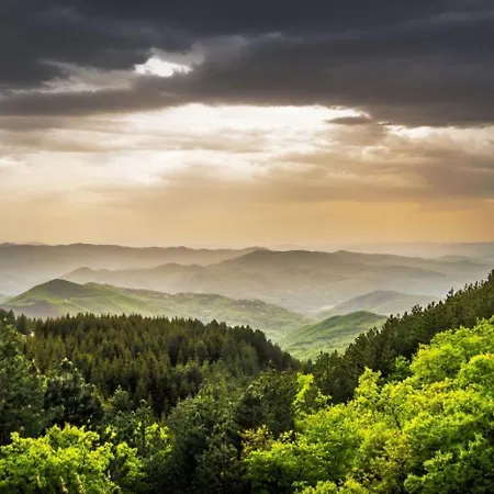 Διαμέρισμα Mantera Κοπαόνικ