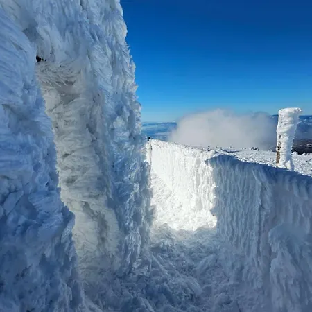 Διαμέρισμα Mantera Κοπαόνικ