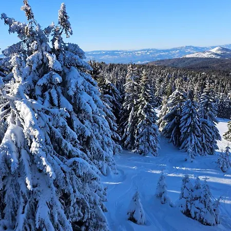 Mantera * Kopaonik
